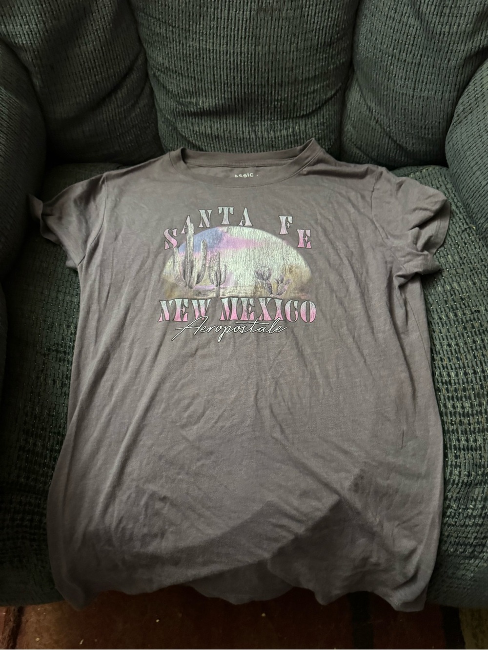 Aeropostale Gray Graphic Tee with Santa Fe New Mexico Print